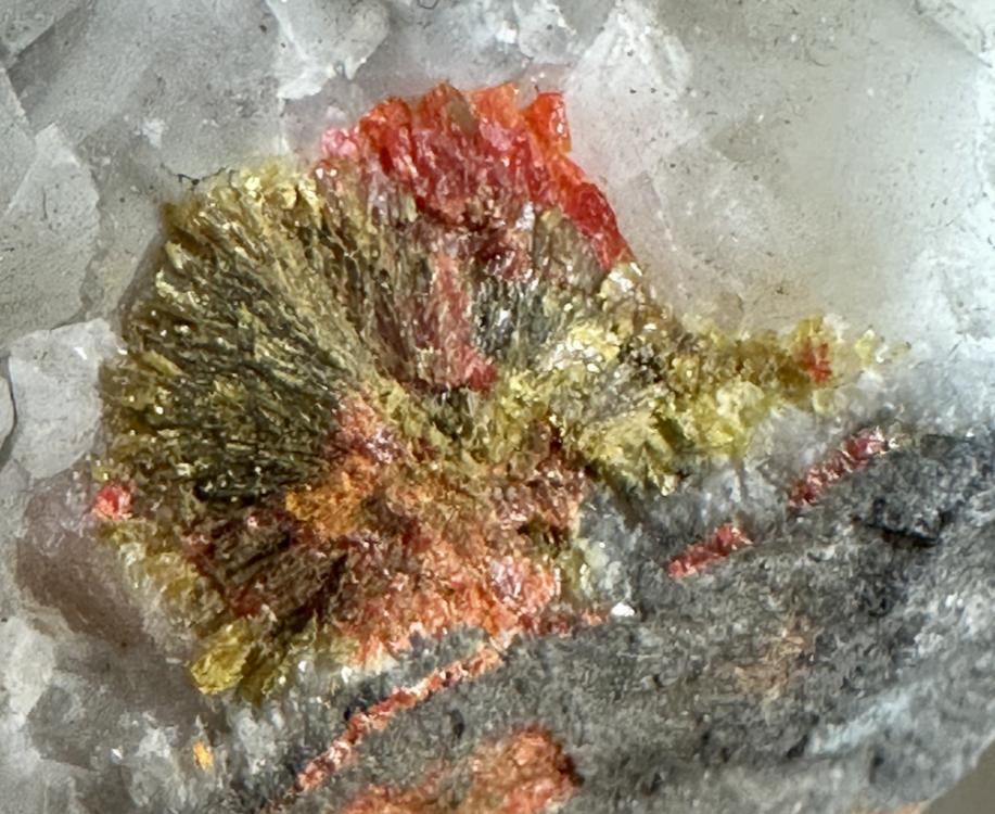 Capture d’écran 2025-03-08 à 23.19.42.png