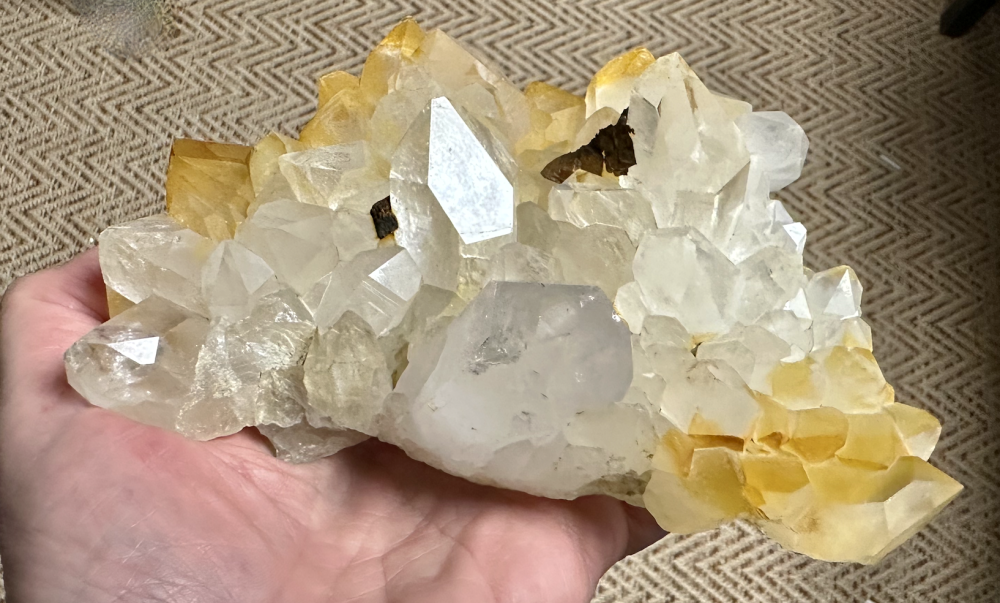 Capture d’écran 2025-03-08 à 23.22.32.png