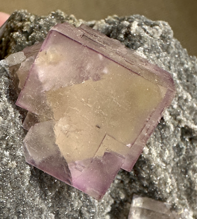 Capture d’écran 2025-03-08 à 23.25.35.png