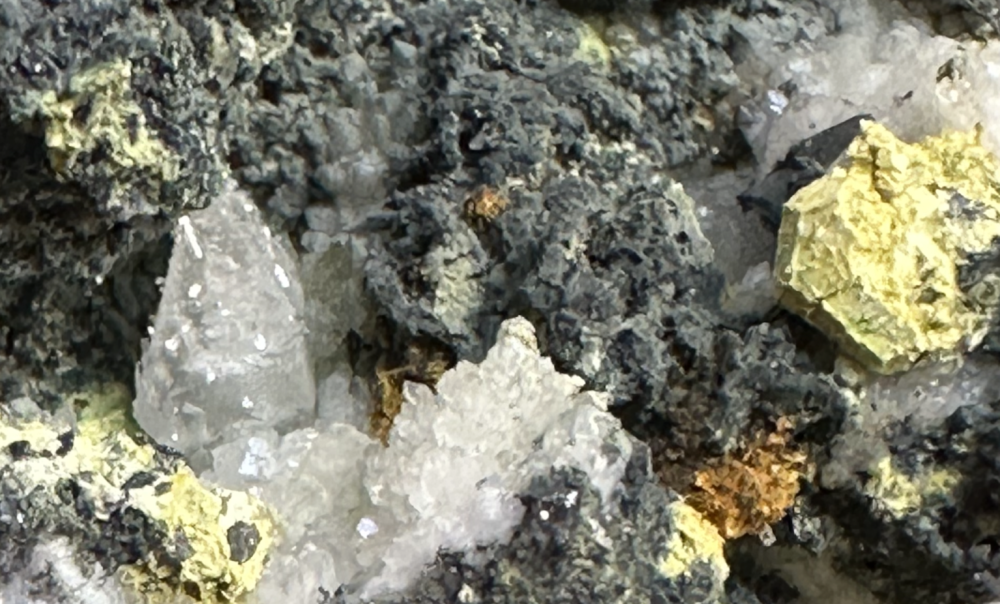 Capture d’écran 2025-03-14 à 00.35.23.png