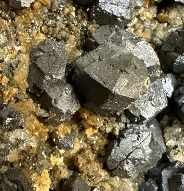 Capture d’écran 2025-03-14 à 00.36.46.png