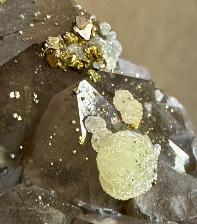 Capture d’écran 2025-03-14 à 00.39.23.png