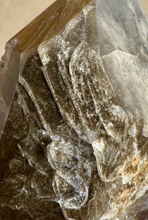 Capture d’écran 2025-03-15 à 23.22.22.png