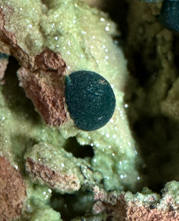 Capture d’écran 2025-03-15 à 23.55.14.png