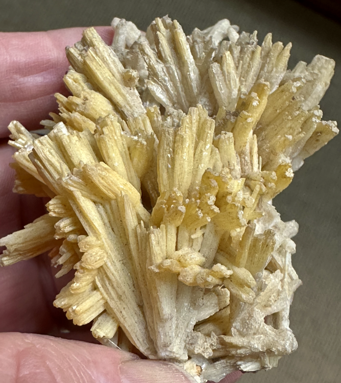 Capture d’écran 2025-03-15 à 23.56.16.png