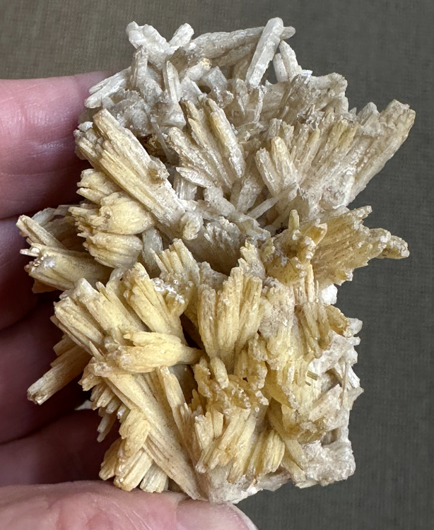 Capture d’écran 2025-03-15 à 23.56.53.png