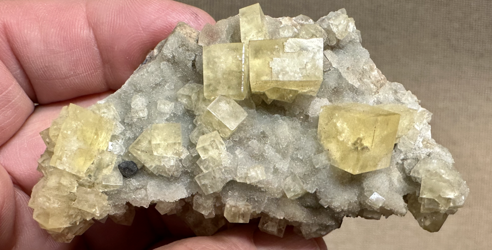 Capture d’écran 2025-03-24 à 12.49.08.png