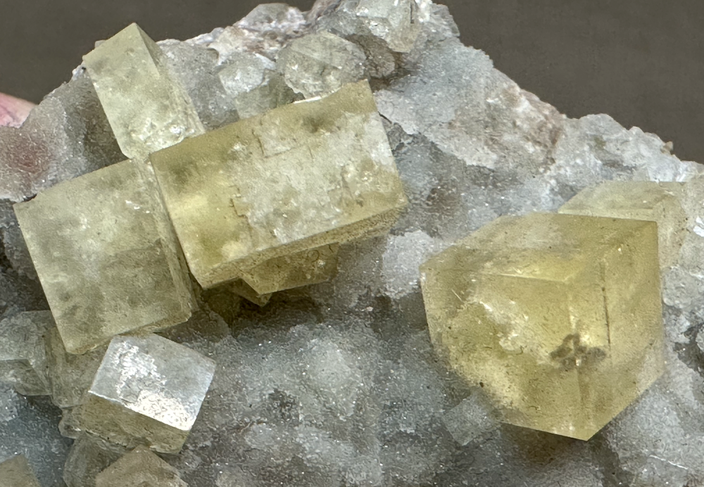 Capture d’écran 2025-03-24 à 12.49.26.png