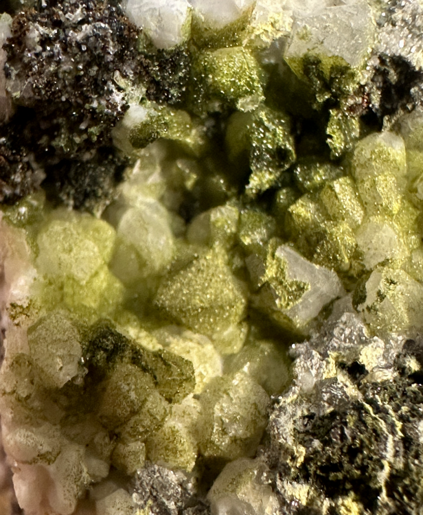 Capture d’écran 2025-03-25 à 17.06.17.png