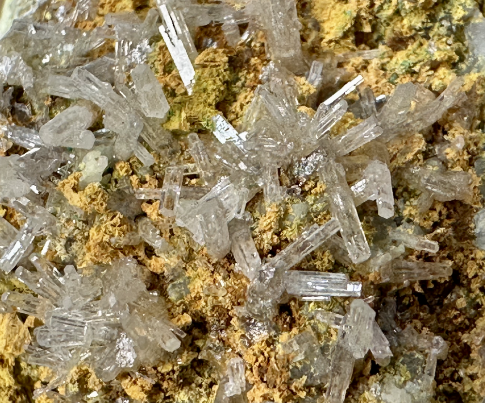 Capture d’écran 2025-03-26 à 22.56.05.png