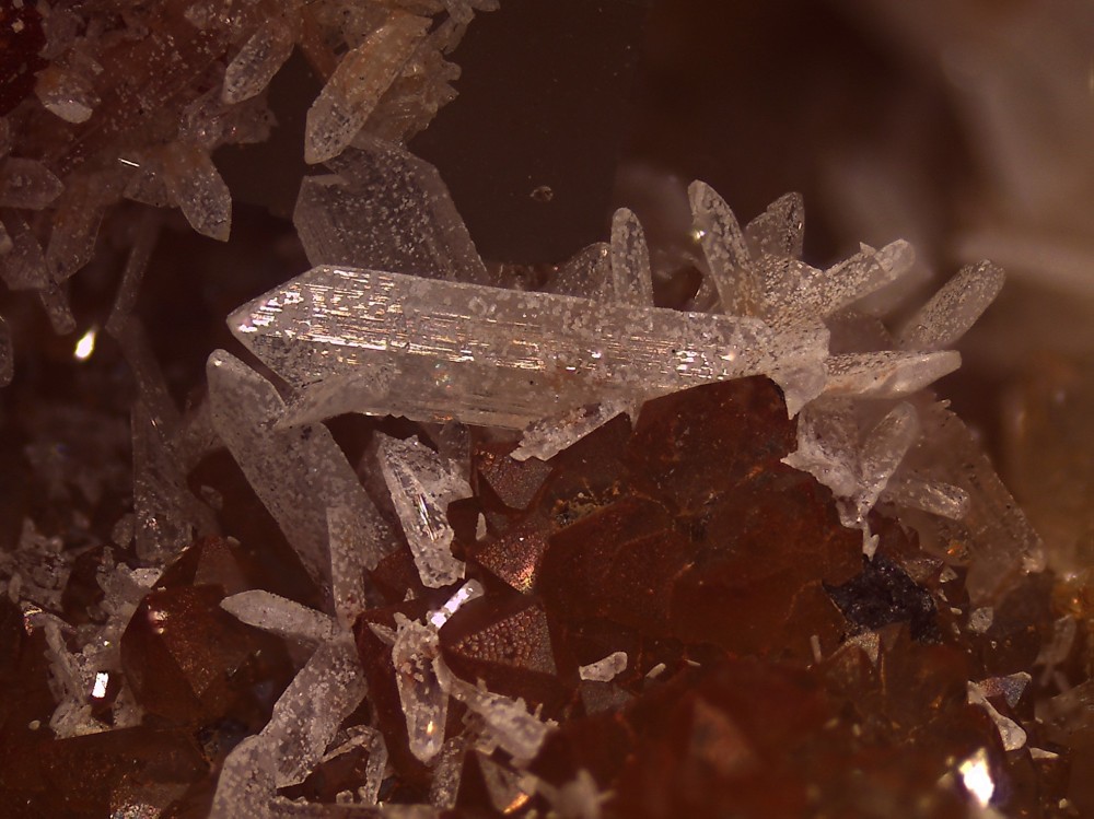 La Boule2025 88x66 s20.jpg