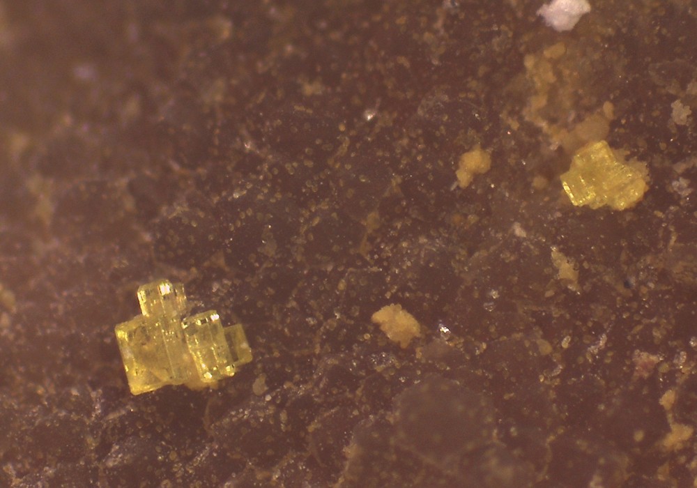 Puech Luego2025 30x23 S5.jpg