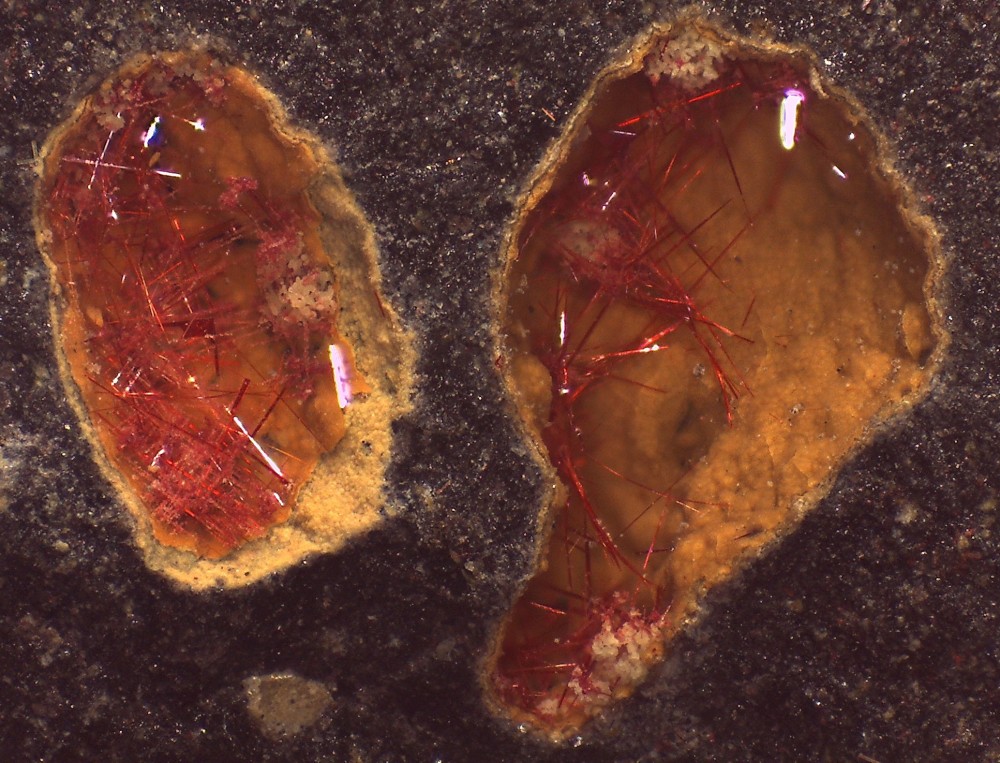 Villecun2025 003 44x33 s7.jpg