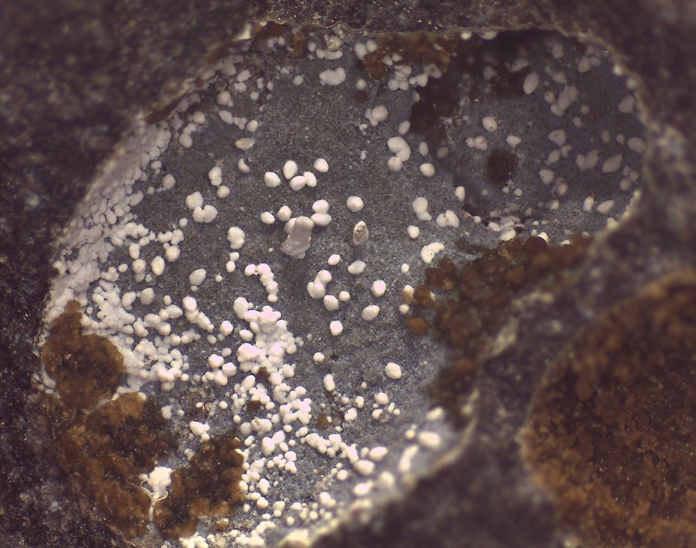 Villecun2025 004 54x41 s9.jpg