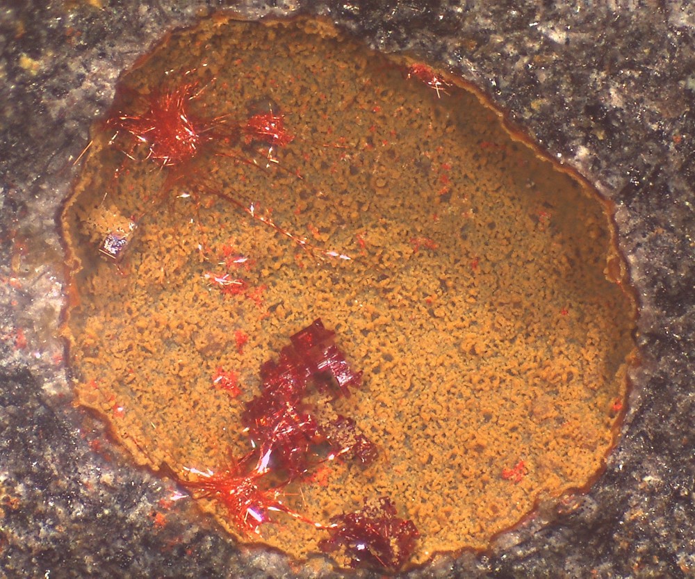 Villecun2025 37x27 s17.jpg