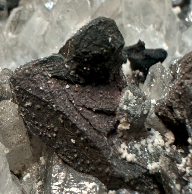 Capture d’écran 2025-04-03 à 08.02.39.png