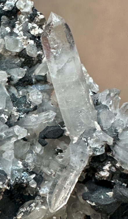 Capture d’écran 2025-04-03 à 08.03.01.png