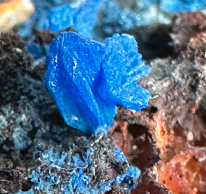 Capture d’écran 2025-04-03 à 08.05.17.png