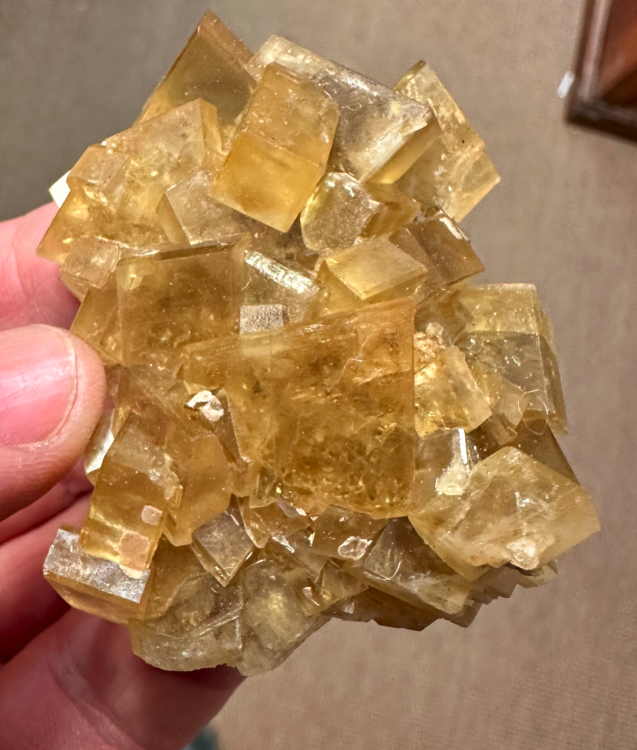 Capture d’écran 2025-04-03 à 08.06.03.png