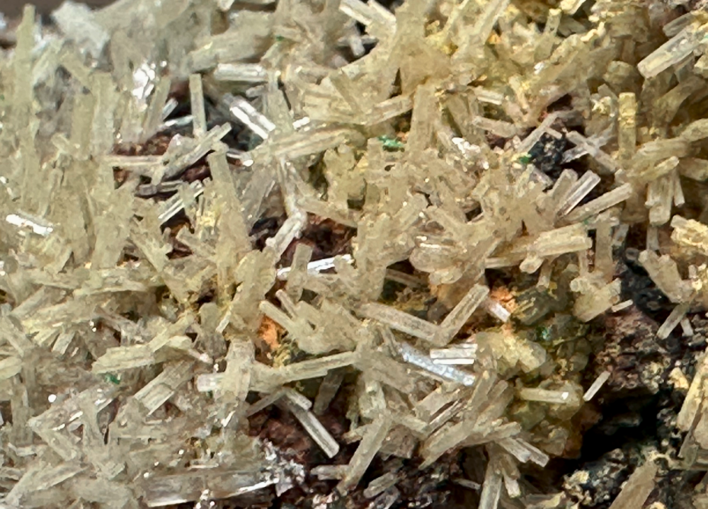 Capture d’écran 2025-04-03 à 08.07.24.png