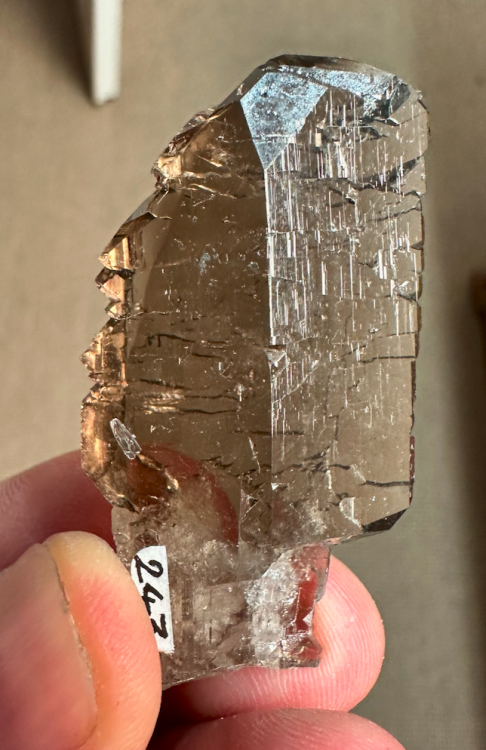 Capture d’écran 2025-04-03 à 18.38.41.png