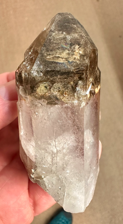 Capture d’écran 2025-04-03 à 18.41.37.png