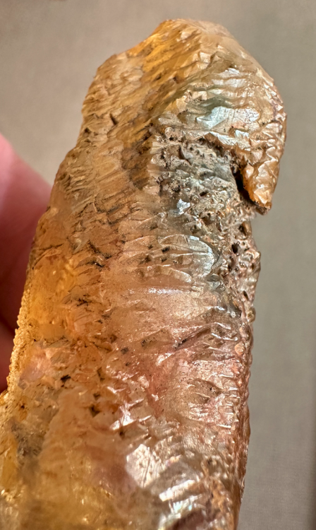 Capture d’écran 2025-04-04 à 20.15.41.png