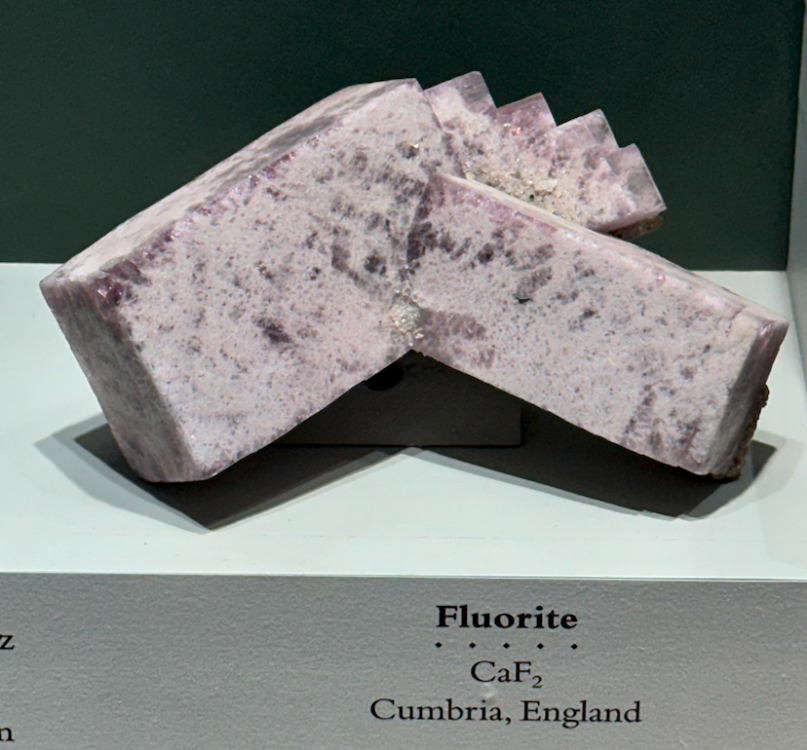 Capture d’écran 2025-04-06 à 03.21.21.png