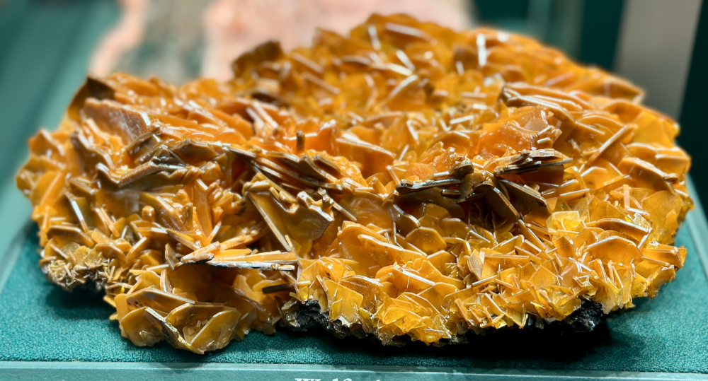 Capture d’écran 2025-04-06 à 03.22.07.png