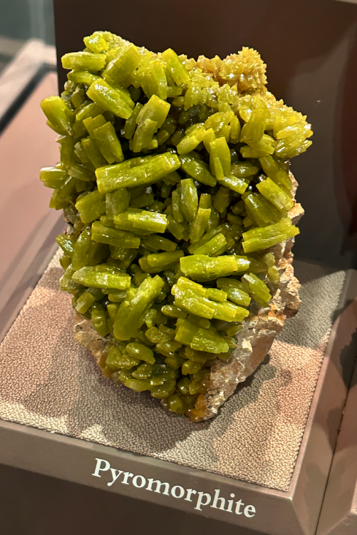 Capture d’écran 2025-04-06 à 03.24.49.png