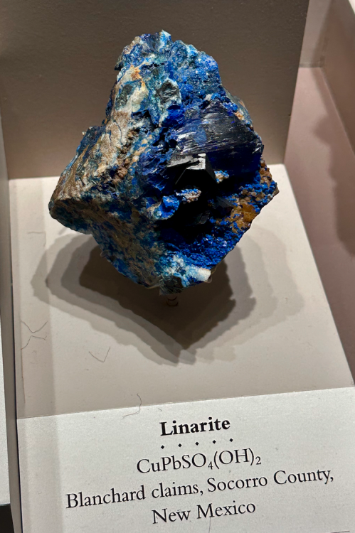 Capture d’écran 2025-04-06 à 03.25.34.png