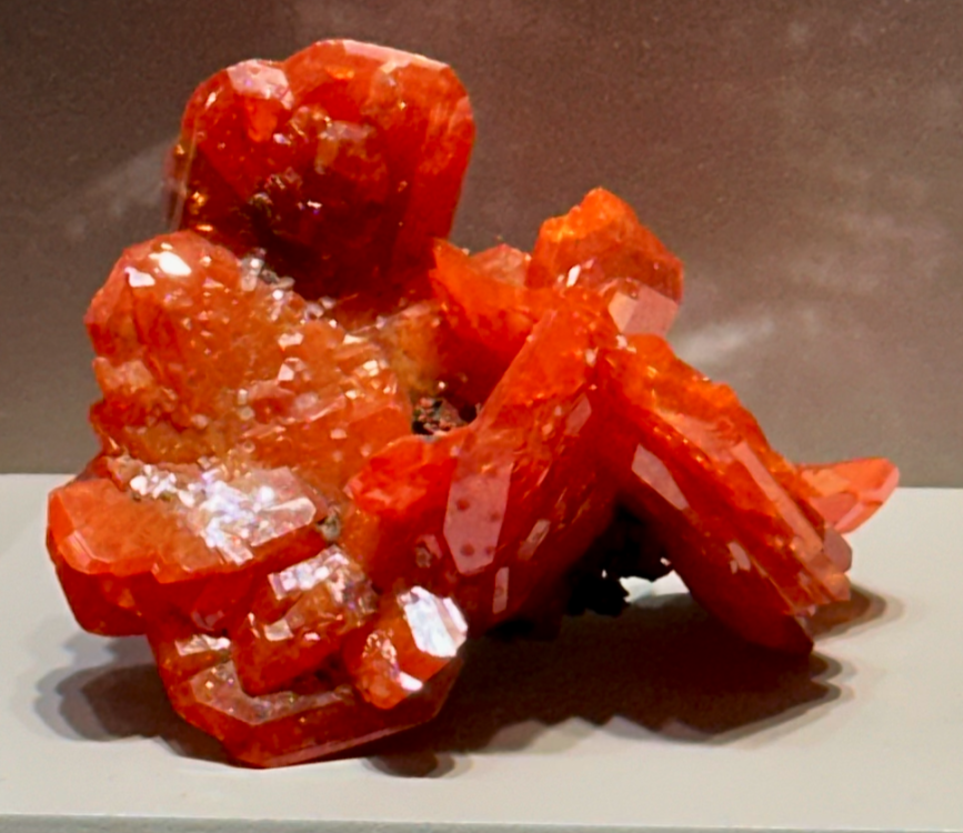 Capture d’écran 2025-04-06 à 03.26.40.png