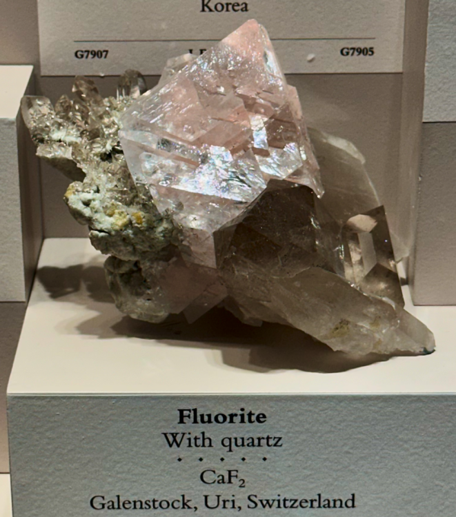 Capture d’écran 2025-04-06 à 03.28.15.png