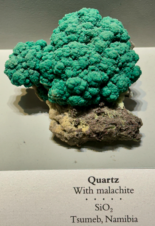 Capture d’écran 2025-04-06 à 03.29.44.png