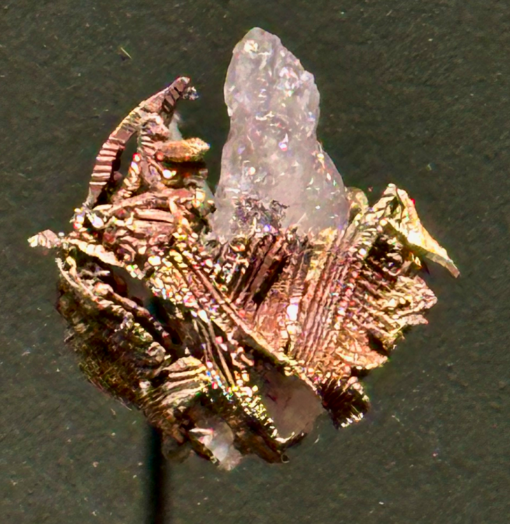 Capture d’écran 2025-04-06 à 03.34.52.png