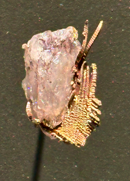 Capture d’écran 2025-04-06 à 03.35.05.png