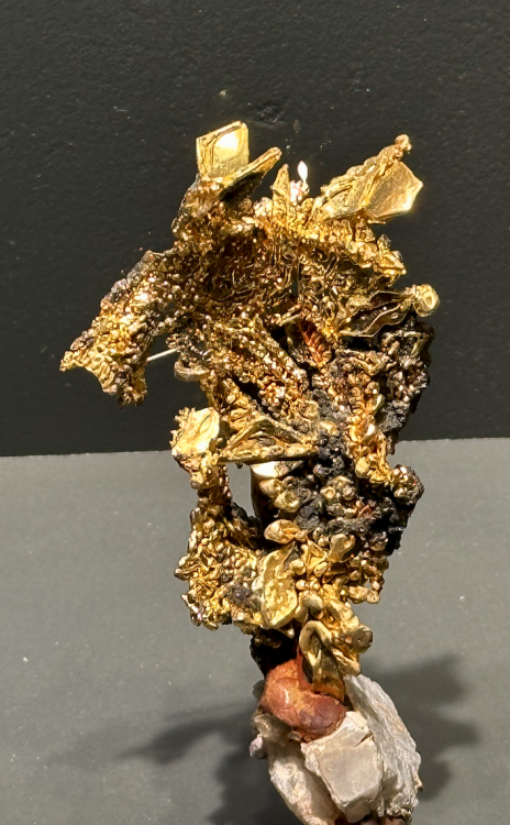 Capture d’écran 2025-04-06 à 03.35.54.png