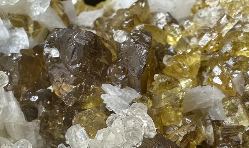 Capture d’écran 2025-04-11 à 22.58.00.png