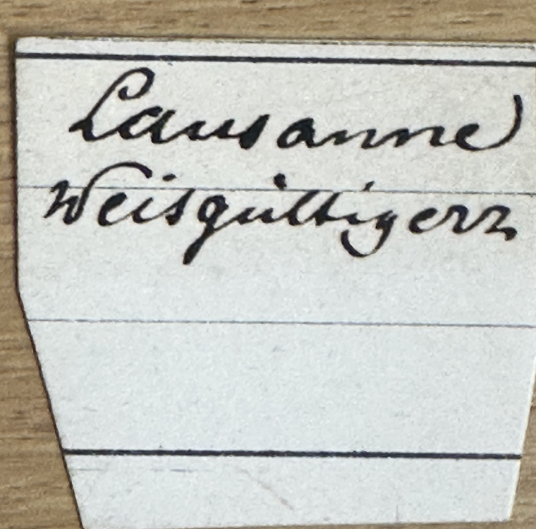 Capture d’écran 2025-04-11 à 23.03.28.png