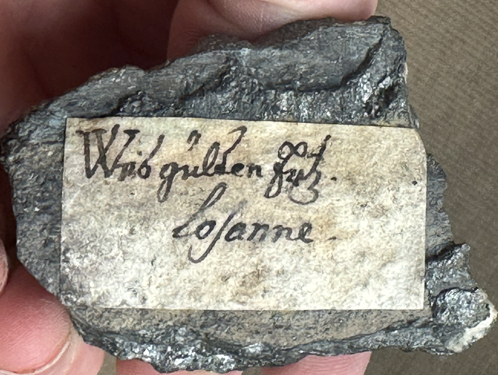 Capture d’écran 2025-04-11 à 23.03.43.png