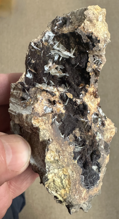 Capture d’écran 2025-04-12 à 09.10.49.png