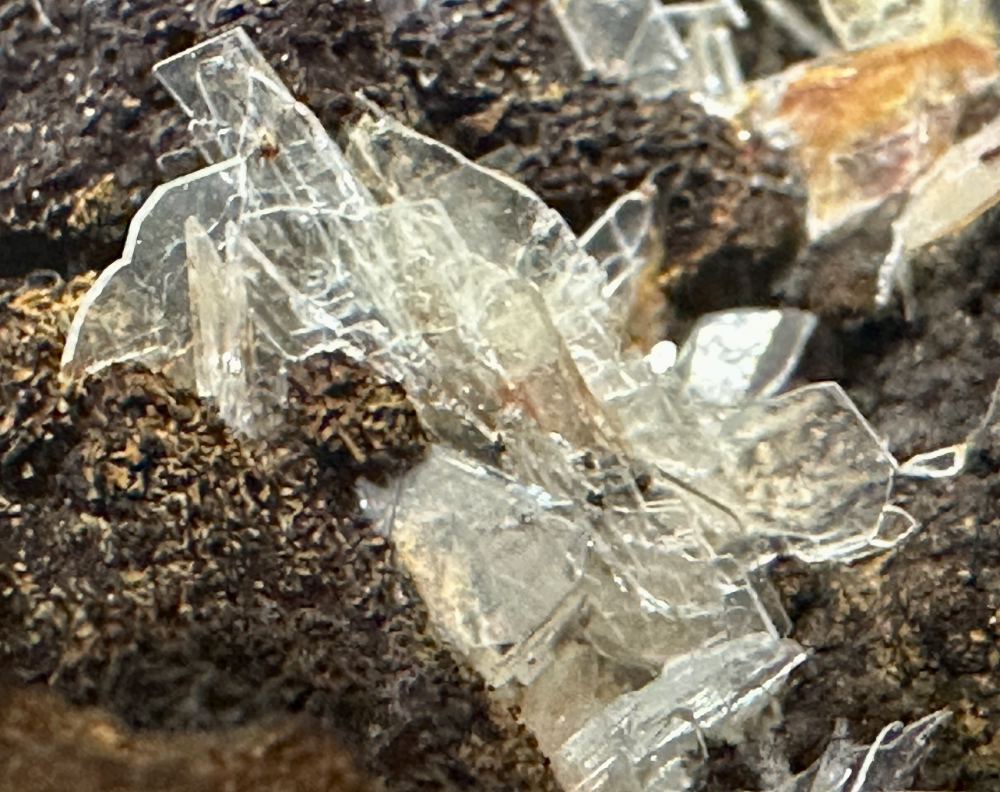 Capture d’écran 2025-04-12 à 09.11.32.png