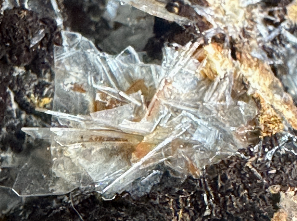 Capture d’écran 2025-04-12 à 09.11.57.png