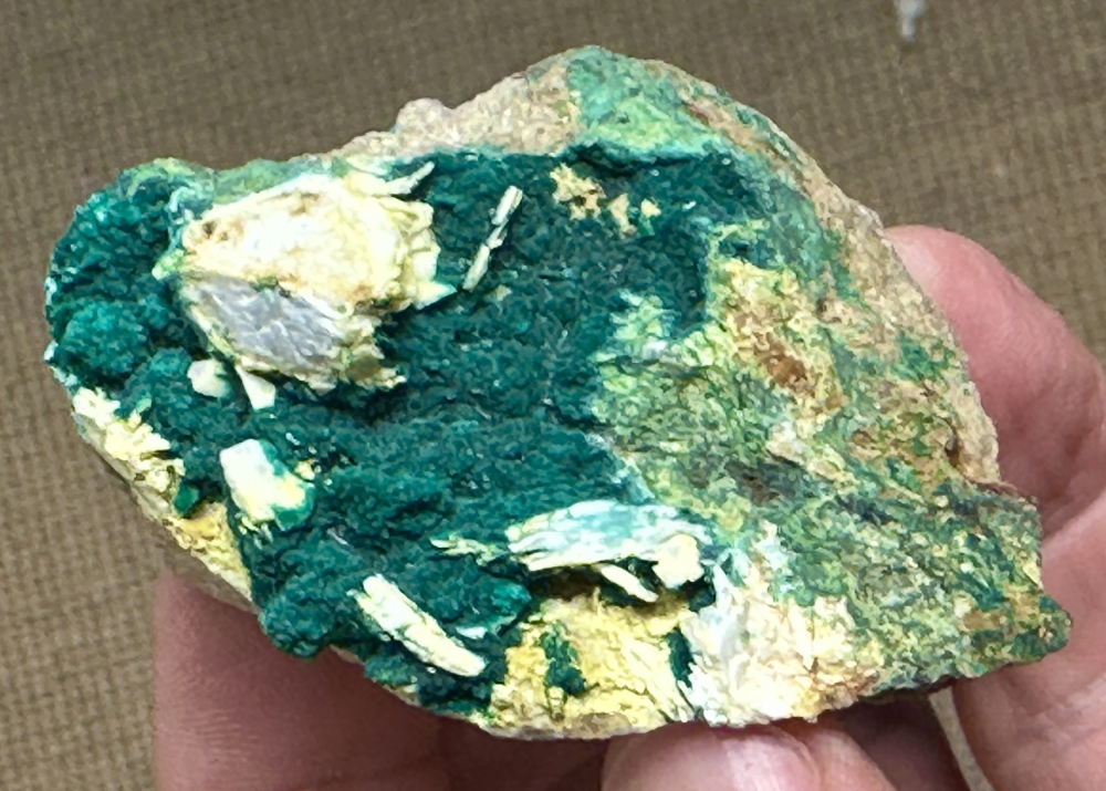 Capture d’écran 2025-04-13 à 23.11.33.png