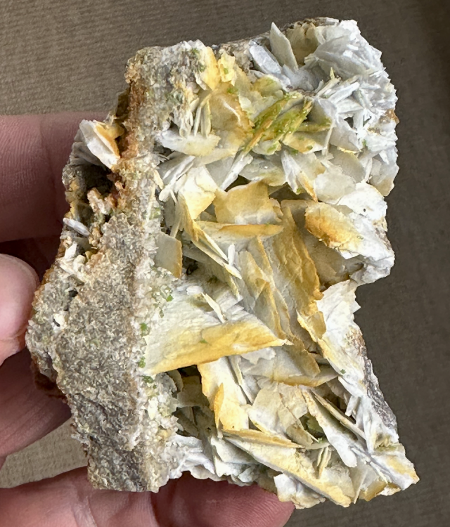 Capture d’écran 2025-04-13 à 23.13.00.png