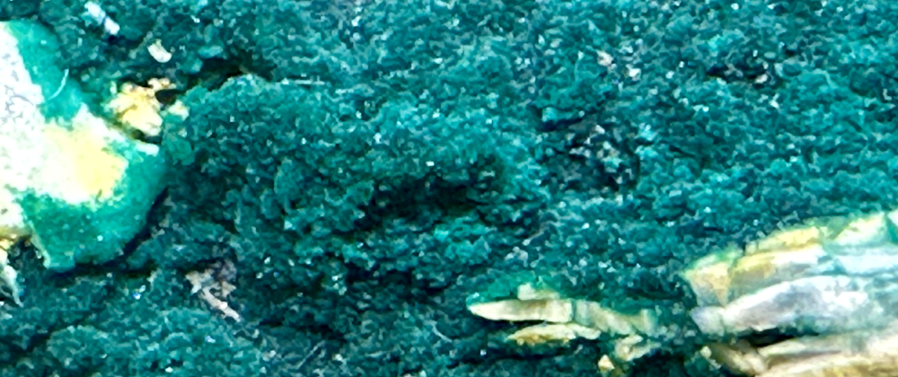 Capture d’écran 2025-04-15 à 00.09.31.png