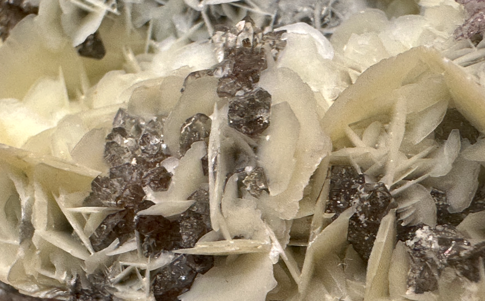 Capture d’écran 2025-04-23 à 23.57.50.png