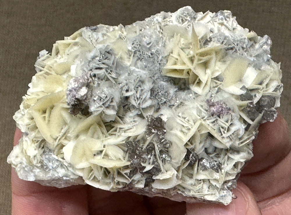 Capture d’écran 2025-04-23 à 23.58.07.png