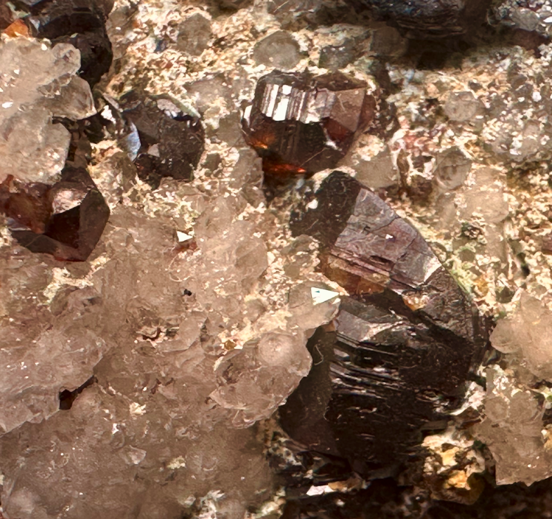 Capture d’écran 2025-04-27 à 10.36.36.png