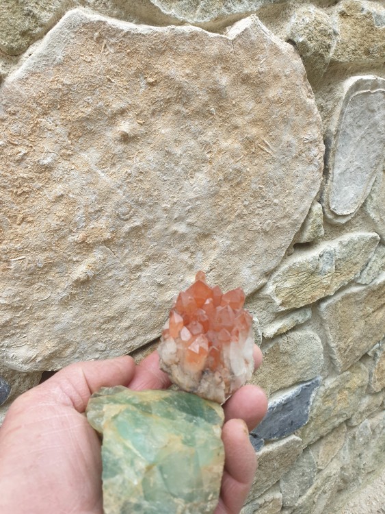 Geo forum 23 avril.jpg